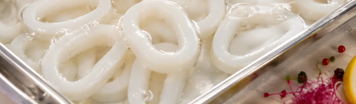 Cleaned squid rings in cold water in a stainless processing tray